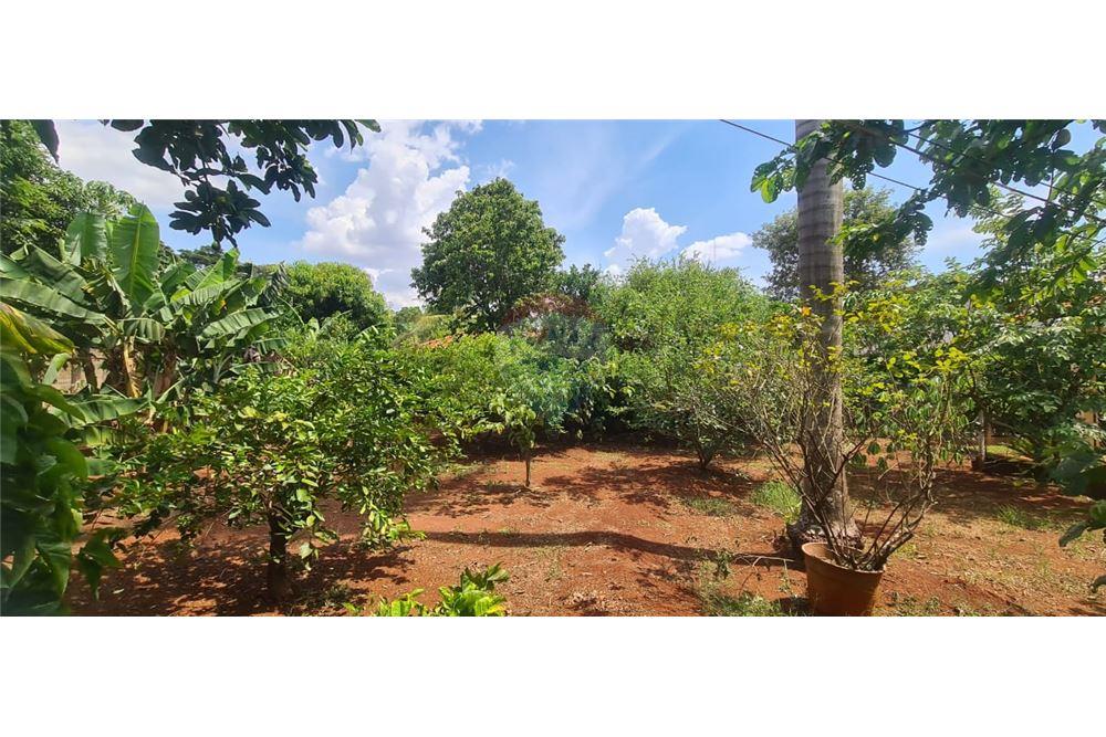 Casa de Condomínio - Venda - Jardinópolis , São Paulo - 37 - 780181011-287