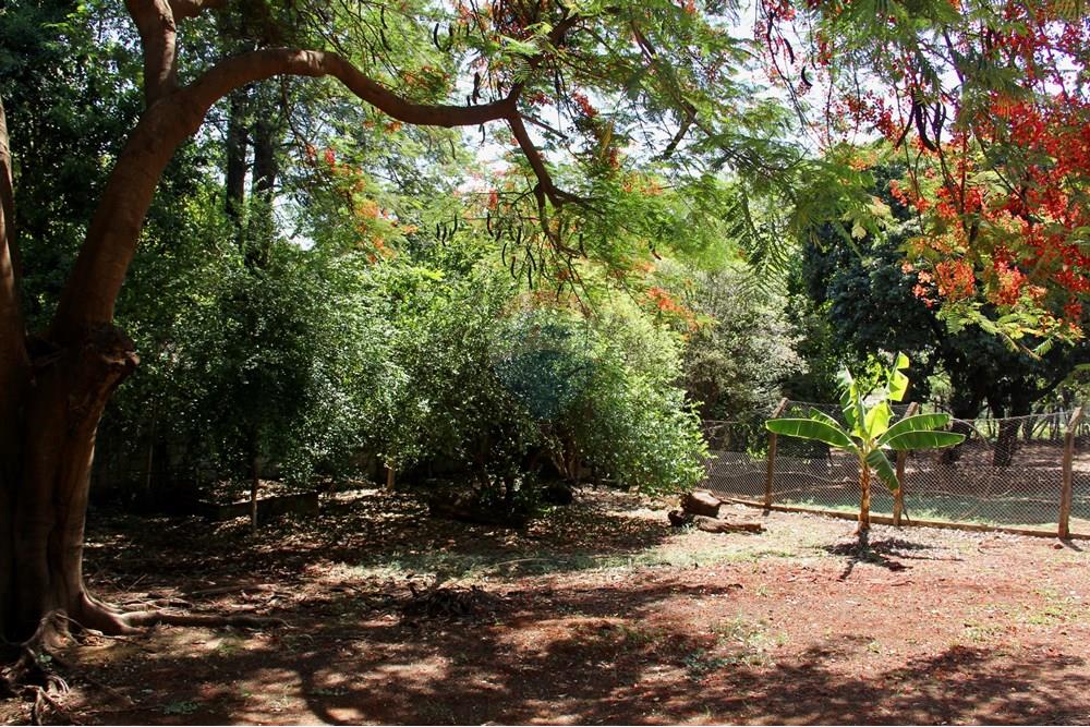 Chácara / Sítio / Fazenda - Venda - Ribeirão Preto , São Paulo - IMG_8836.jpeg - 780261028-27