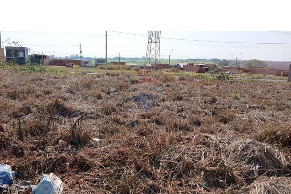 Terreno - Venda - Ribeirão Preto , São Paulo - 11.jpeg - 780171003-242