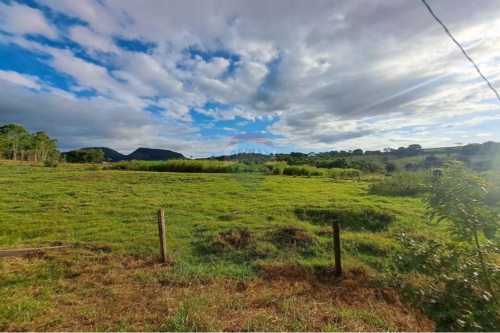 Fazenda - Venda - Cajuru , São Paulo - IMG-20250406-WA0120.jpg - 780171030-57