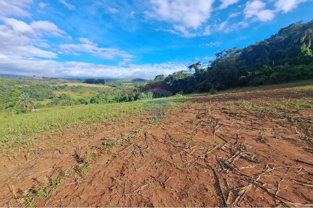 Fazenda - Venda - Cajuru , São Paulo - IMG-20250406-WA0196.jpg - 780171030-57