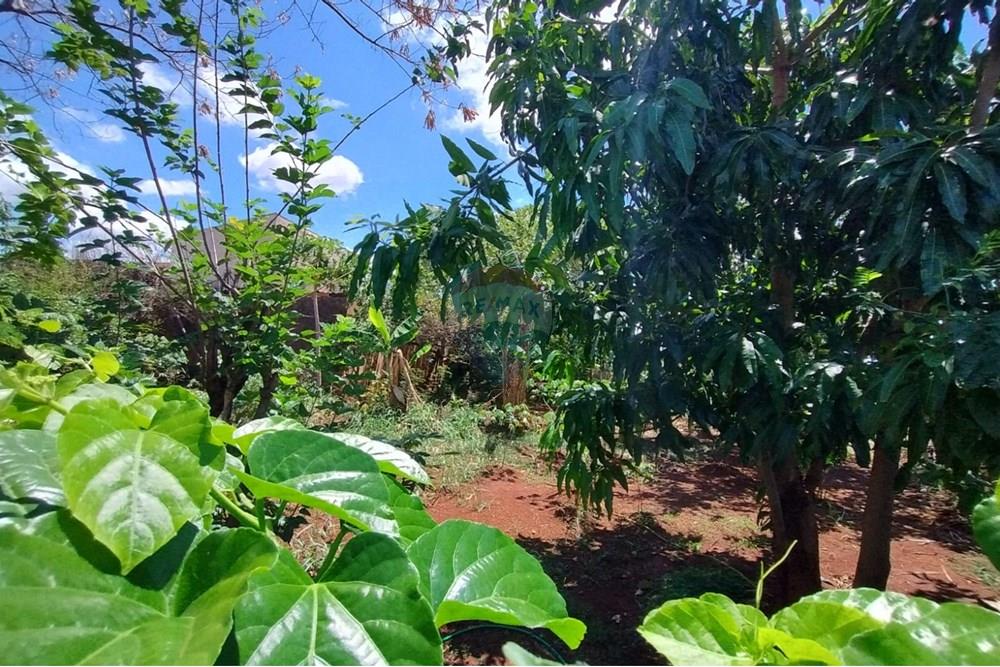 Terreno - Venda - Ribeirão Preto , São Paulo - WhatsApp Image 2025-11-04 at 14.10.31 (2).jpeg - 780181003-72