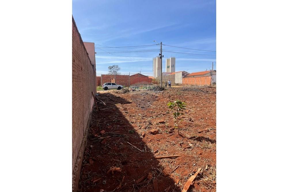 Terreno - Venda - São Joaquim da Barra , São Paulo - IMG_5285.JPEG - 780301001-6