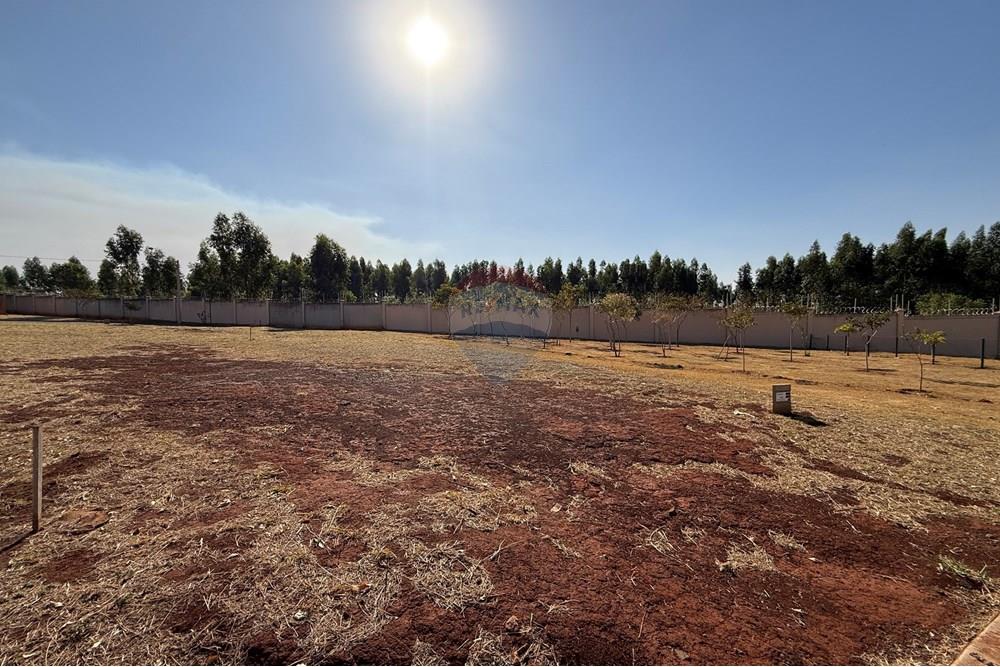 Terreno - Venda - Ribeirão Preto , São Paulo - IMG_4666.JPG - 780071020-152