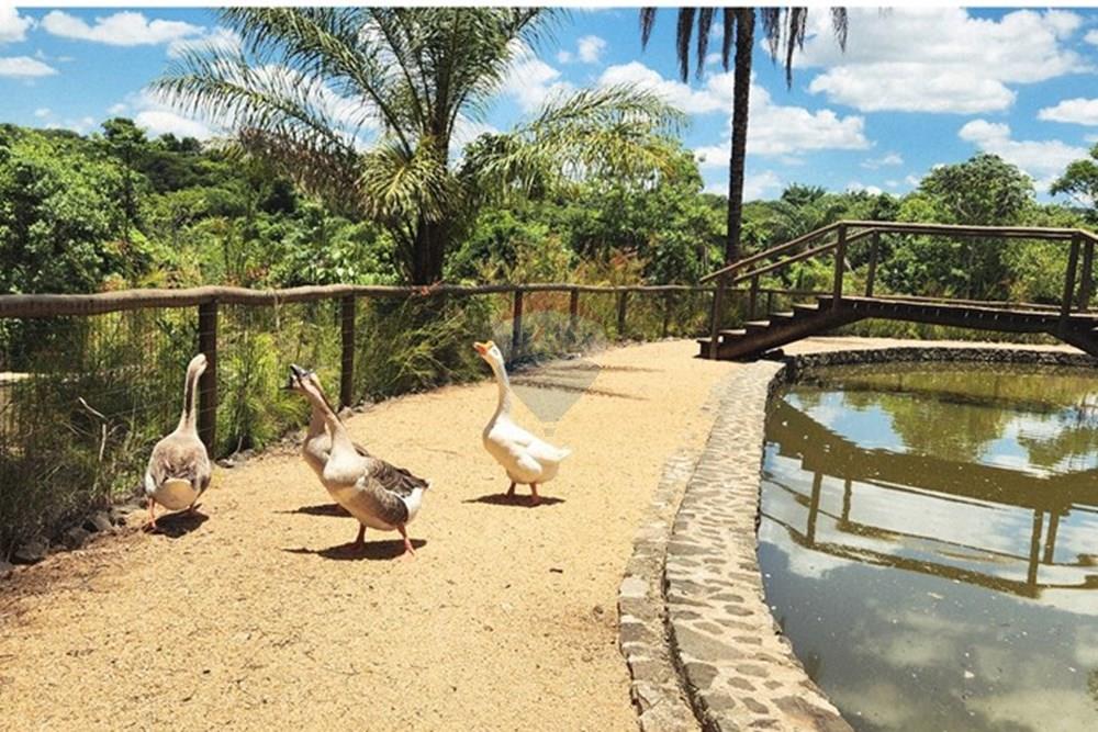 Chácara / Sítio / Fazenda - Venda - São Sebastião do Paraíso , Minas Gerais - 20.jpg - 780251022-11