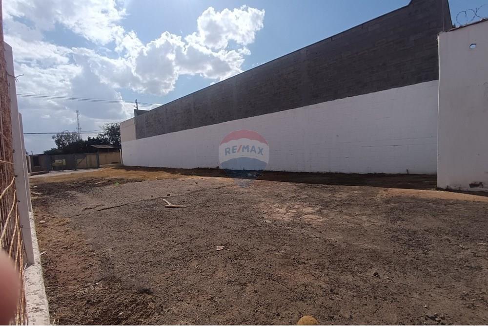 Outros - Alugar - Ribeirão Preto , São Paulo - IMG-20250812-WA0072.jpg - 780181010-328