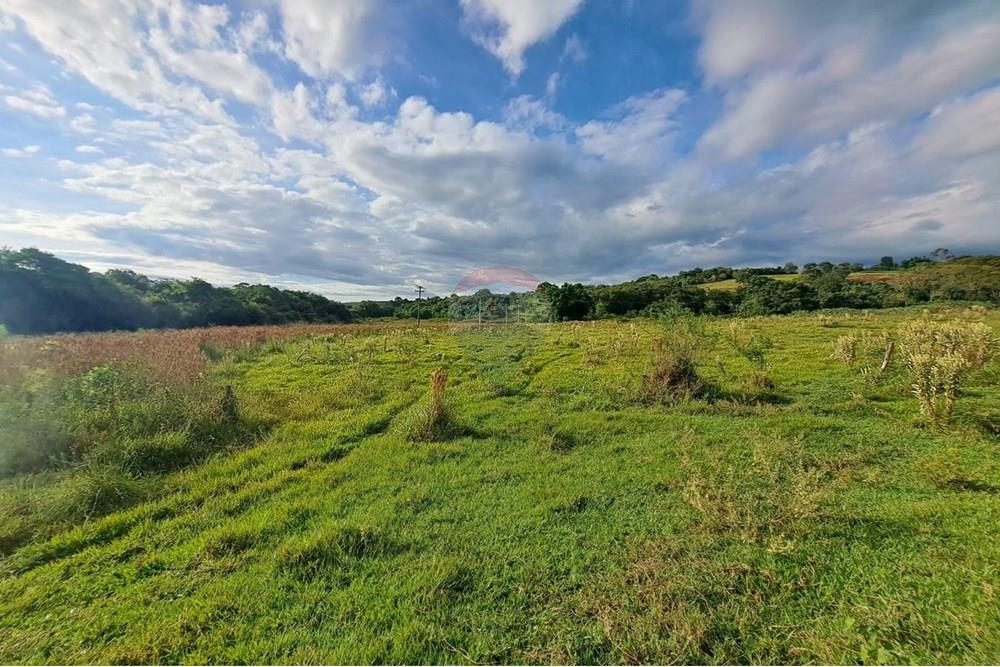 Fazenda - Venda - Cajuru , São Paulo - IMG-20250406-WA0148.jpg - 780171030-57