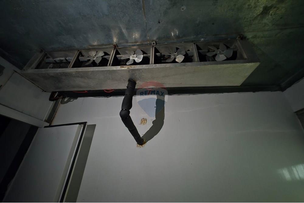 Galpão - Venda - Ribeirão Preto , São Paulo - IMG-20251126-WA0334.jpg - 780171030-70