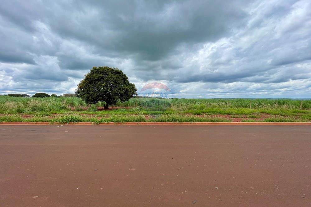 Terreno - Venda - Ribeirão Preto , São Paulo - 6.jpeg - 780121005-84