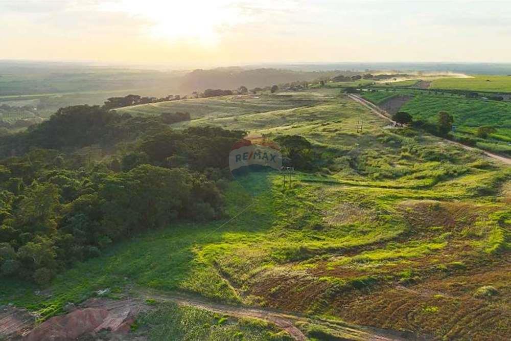 Chácara / Sítio / Fazenda - Venda - Monte Alto , São Paulo - foto 24.jpg - 780271059-44