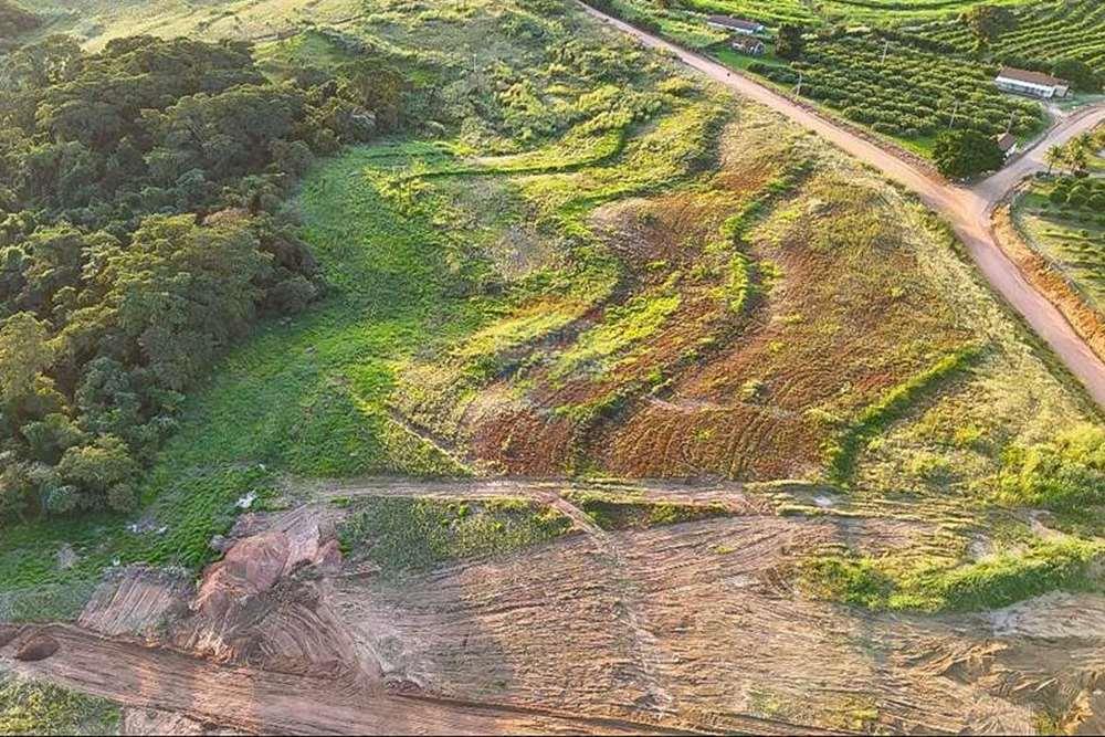 Chácara / Sítio / Fazenda - Venda - Monte Alto , São Paulo - foto 12.jpg - 780271059-44