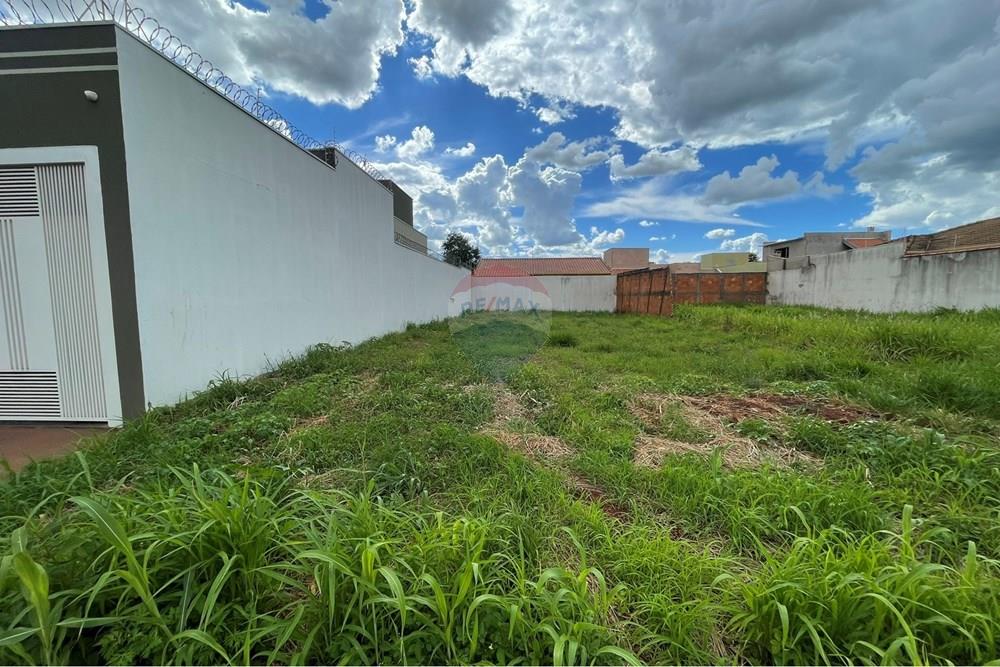 Terreno - Venda - São Joaquim da Barra , São Paulo - IMG_9418.JPEG - 780301001-31