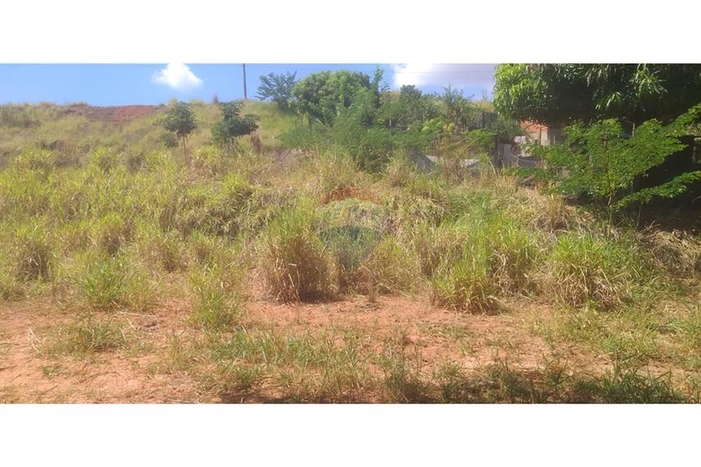 Terreno - Venda - Cristais Paulista , São Paulo - Imagem do WhatsApp de 2025-03-17 à(s) 15.07.08_6204cbac.jpg - 780231035-21