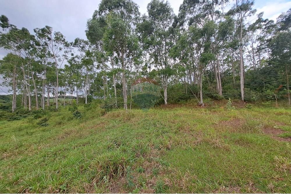 Fazenda - Venda - Cajuru , São Paulo - IMG-20250406-WA0105.jpg - 780171030-57