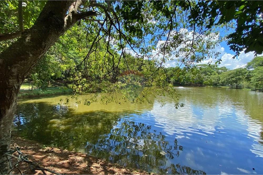 Terreno - Venda - Ribeirão Preto , São Paulo - WhatsApp Image 2026-01-31 at 19.40.24.jpeg - 780171024-60