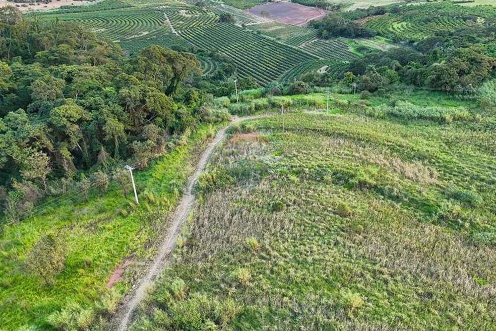 Chácara / Sítio / Fazenda - Venda - Monte Alto , São Paulo - foto 8.jpg - 780271059-44