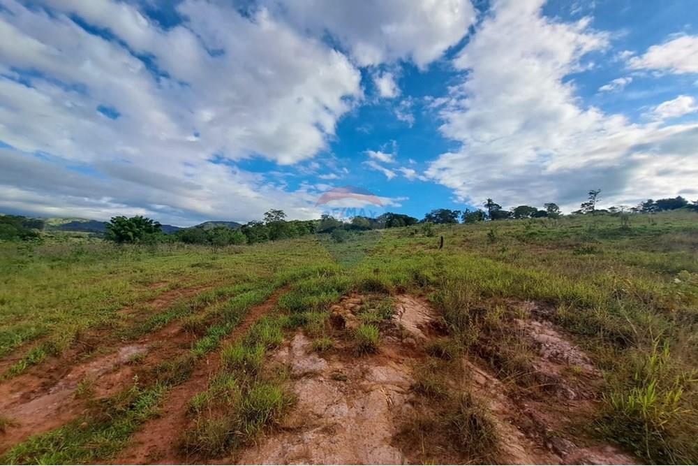 Chácara / Sítio / Fazenda - Venda - Cajuru , São Paulo - IMG-20250406-WA0150.jpg - 780171030-59