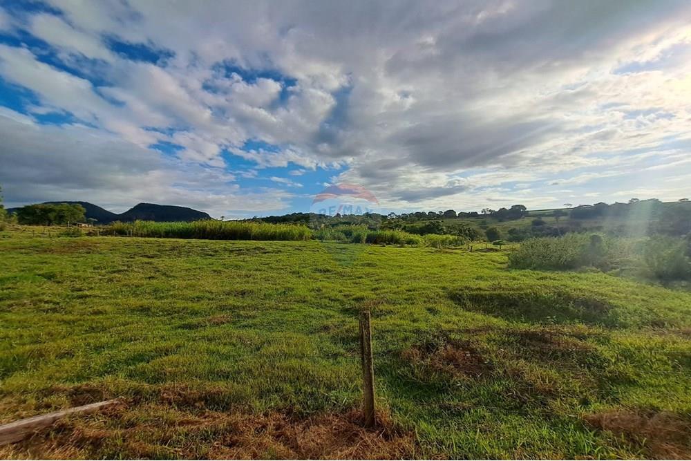 Fazenda - Venda - Cajuru , São Paulo - IMG-20250406-WA0119.jpg - 780171030-57