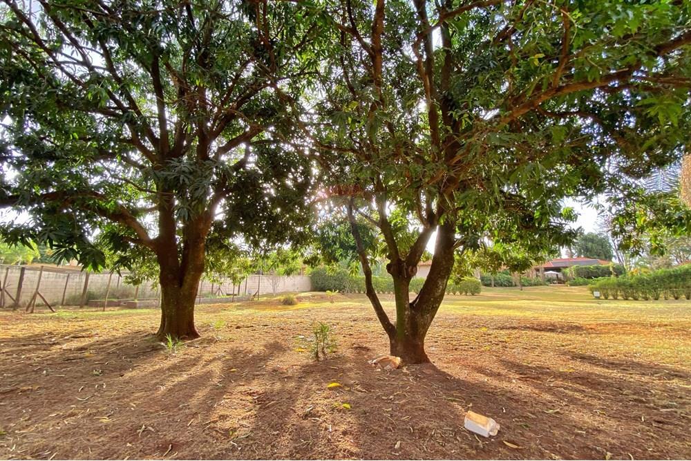 Casa de Condomínio - Venda - Ribeirão Preto , São Paulo - IMG_4395.jpg - 780171009-119