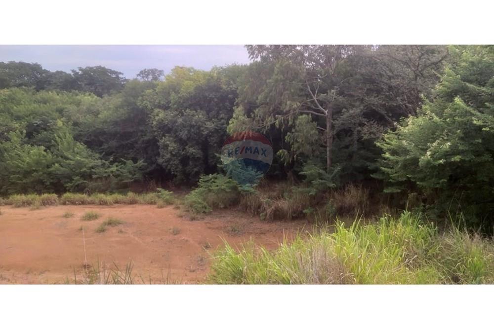 Terreno - Venda - Cristais Paulista , São Paulo - Imagem do WhatsApp de 2025-03-26 à(s) 16.23.21_47e6a93d.jpg - 780231035-21