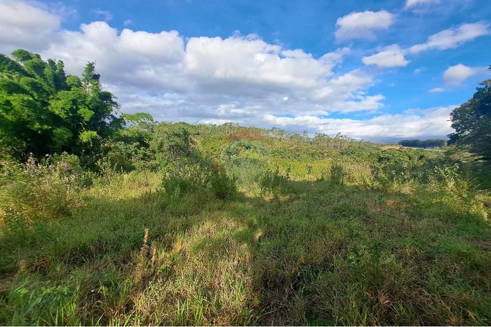 Fazenda - Venda - Cajuru , São Paulo - IMG-20250406-WA0183.jpg - 780171030-57