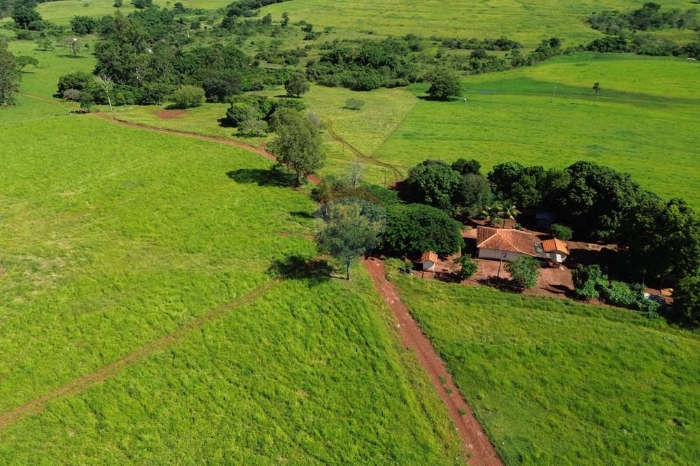Fazenda - Venda - Cajuru , São Paulo - DJI_0001.JPG - 780171030-74