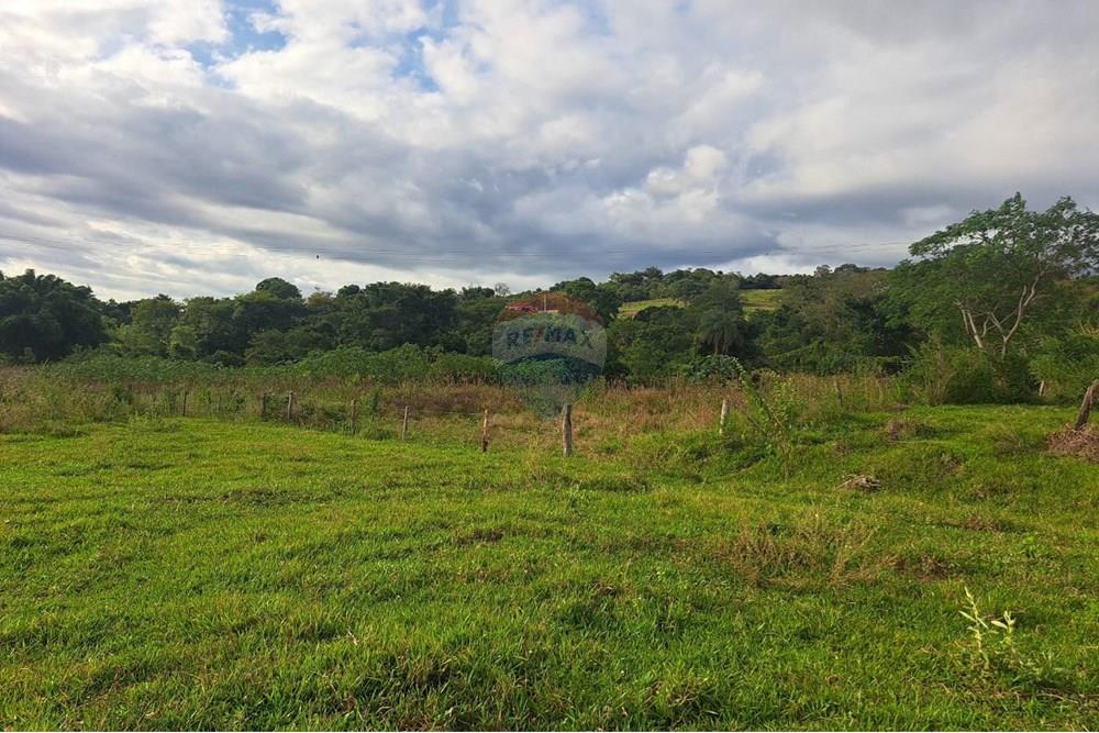 Chácara / Sítio / Fazenda - Venda - Cajuru , São Paulo - IMG-20250406-WA0135.jpg - 780171030-59