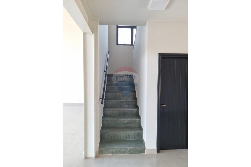 Galpão - Alugar - Ribeirão Preto , São Paulo - WhatsApp Image 2026-03-16 at 11.26.30 (1).jpeg - 780271060-85