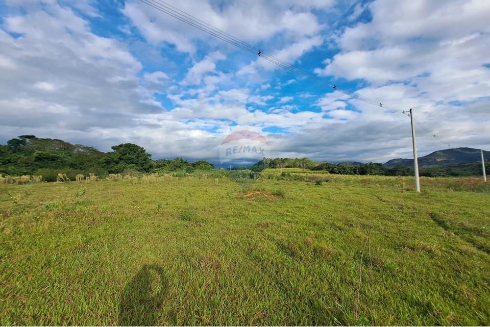 Fazenda - Venda - Cajuru , São Paulo - IMG-20250406-WA0139.jpg - 780171030-57