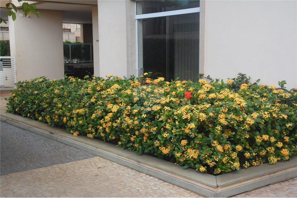 Apartamento - Venda - Ribeirão Preto , São Paulo - 26 - 780201008-136