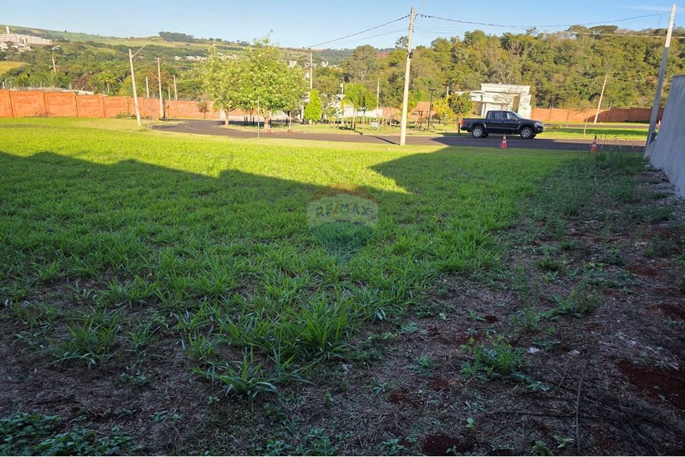 Terreno - Venda - Ribeirão Preto , São Paulo - 20250617_155147.jpg - 780251001-50