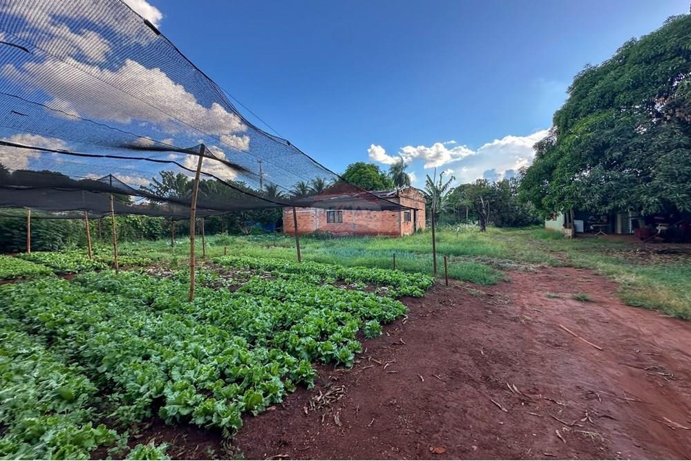 Terreno - Venda - Ribeirão Preto , São Paulo - 23.jpg - 780241010-16