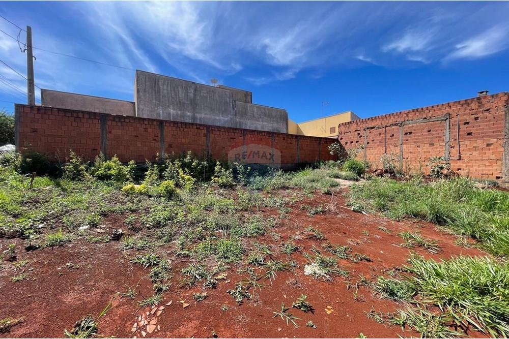 Terreno - Venda - São Joaquim da Barra , São Paulo - IMG-20251126-WA0077.jpg - 780301001-20