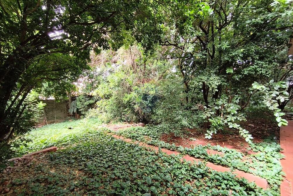 Terreno - Venda - Ribeirão Preto , São Paulo - IMG_20260113_100858.jpg - 780091040-63