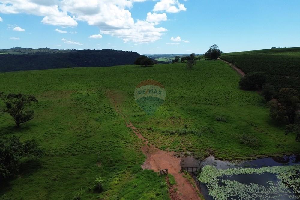 Fazenda - Venda - Cajuru , São Paulo - DJI_0034.JPG - 780171030-74