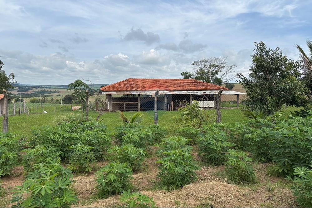 Chácara / Sítio / Fazenda - Venda - Santa Rosa de Viterbo , São Paulo - IMG_3195.jpeg - 780091003-51