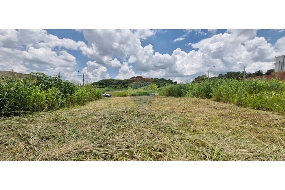 Terreno - Venda - Ribeirão Preto , São Paulo - WhatsApp Image 2025-01-13 at 18.45.45.jpeg - 780181011-259