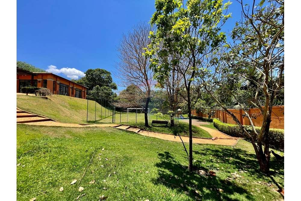 Terreno - Venda - Ribeirão Preto , São Paulo - 220.jpg - 780121001-157