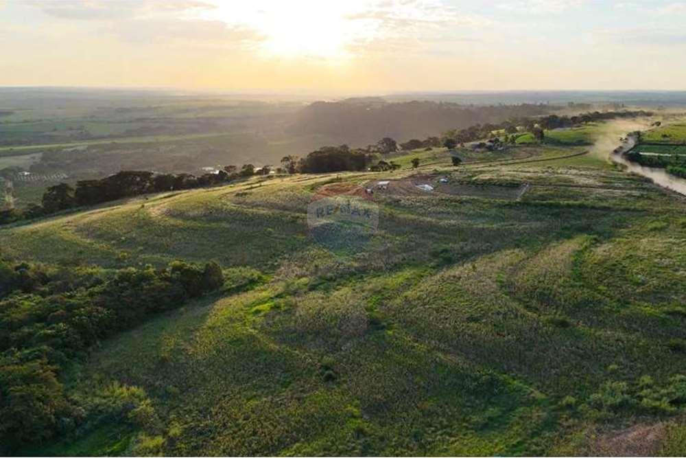 Chácara / Sítio / Fazenda - Venda - Monte Alto , São Paulo - foto 25.jpg - 780271059-44