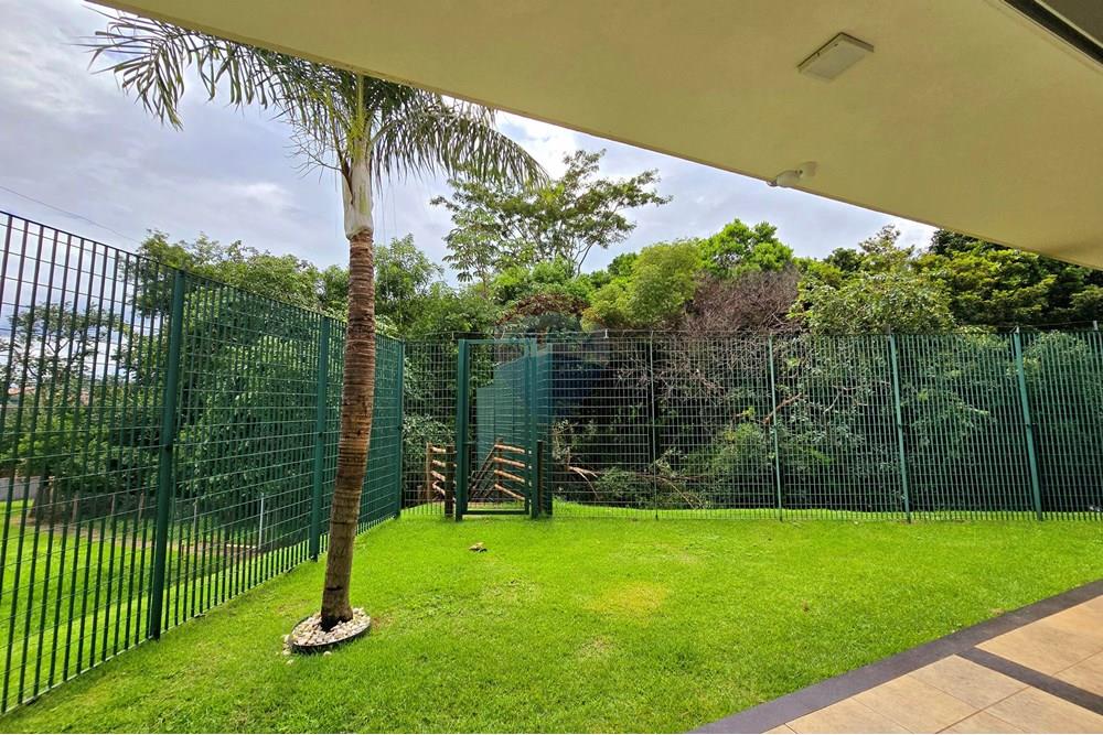 Terreno - Venda - Ribeirão Preto , São Paulo - 20250129_102406.jpg - 780251001-59