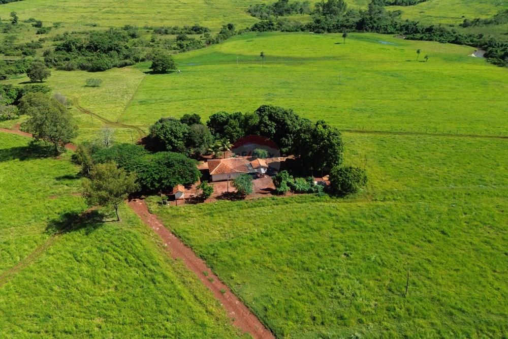 Fazenda - Venda - Cajuru , São Paulo - DJI_0999.JPG - 780171030-74