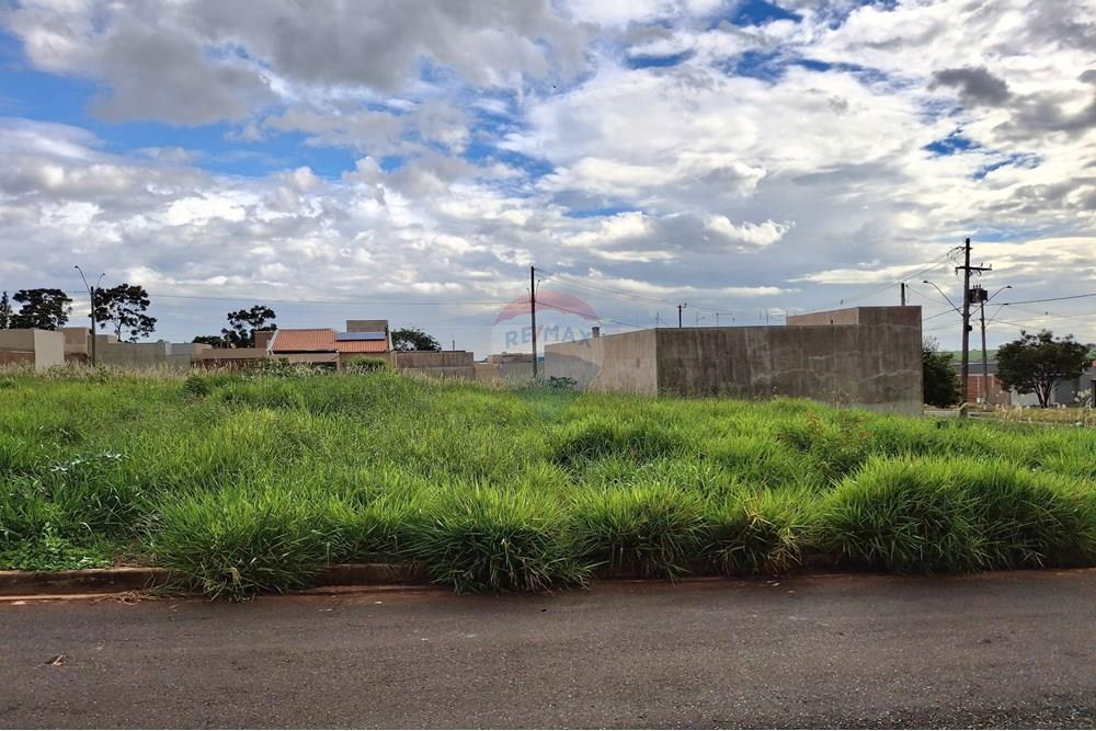 Terreno - Venda - Orlândia , São Paulo - 20251218_153956.jpg - 780111003-53