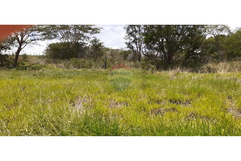 Terreno - Venda - São Joaquim da Barra , São Paulo - IMG-20251202-WA0137.jpg - 780301010-6