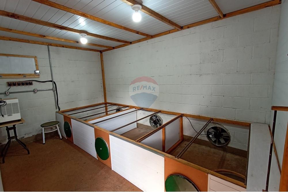 Fazenda - Venda - Cajuru , São Paulo - IMG_20241031_163128.jpg - 780271061-50