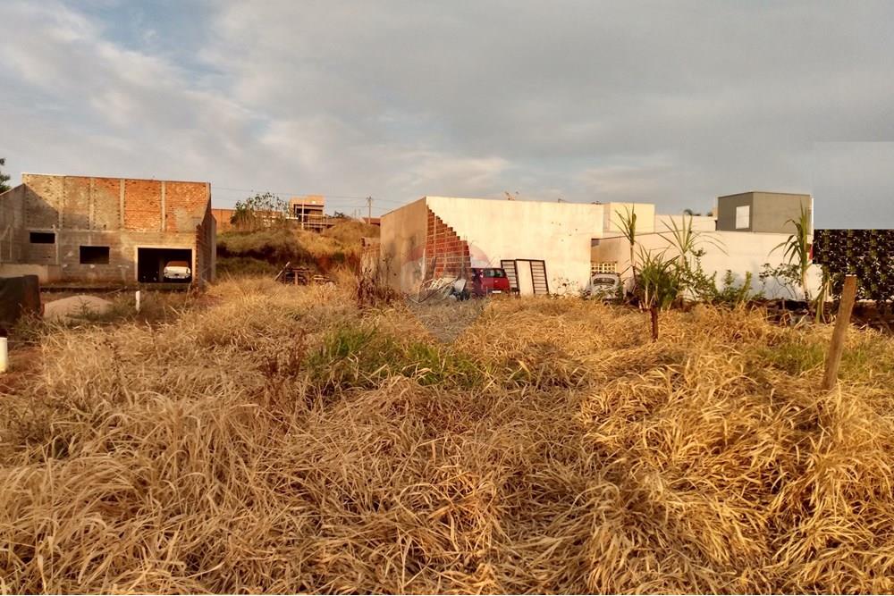 Terreno - Venda - Orlândia , São Paulo - Avenida Marginal Nr 340 - 03.jpg - 780111046-7