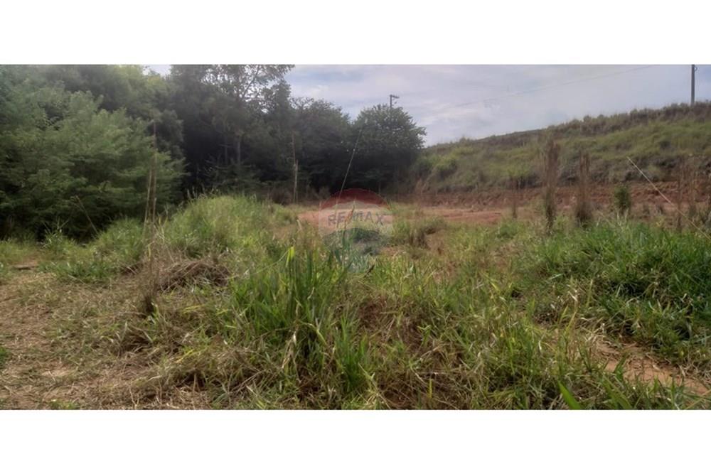 Terreno - Venda - Cristais Paulista , São Paulo - Imagem do WhatsApp de 2025-03-26 à(s) 16.23.26_dfbdf6a6.jpg - 780231035-21