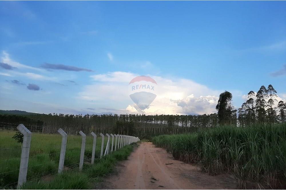 Terreno - Venda - Altinópolis , São Paulo - WhatsApp Image 2025-02-19 at 15.24.02.jpeg - Layout aberto - 780091026-186