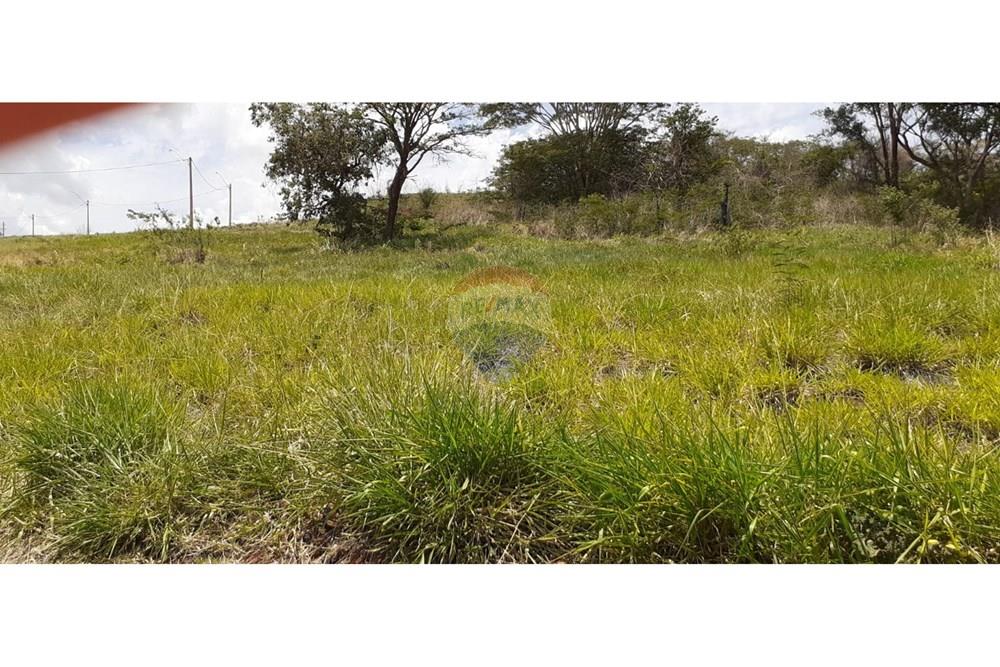 Terreno - Venda - São Joaquim da Barra , São Paulo - IMG-20251202-WA0136.jpg - 780301010-6