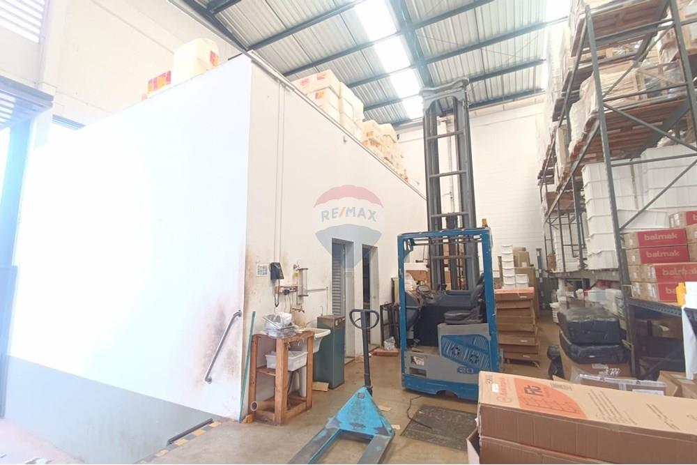 Galpão - Alugar - Ribeirão Preto , São Paulo - IMG-20250910-WA0077.jpg - 780181010-335