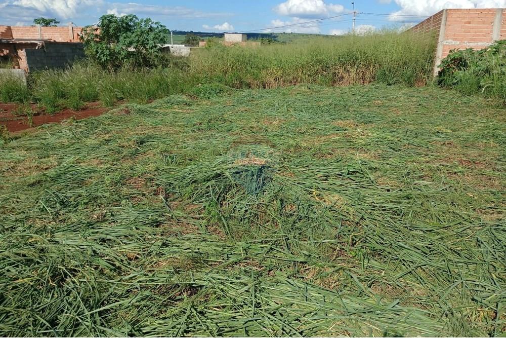 Terreno - Venda - Ribeirão Preto , São Paulo - WhatsApp Image 2025-04-22 at 21.05.58 (1).jpeg - 780101051-1